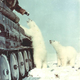 Illustration for article titled Strange Historic Photos From Antarctica and Other Kingdoms of Ice